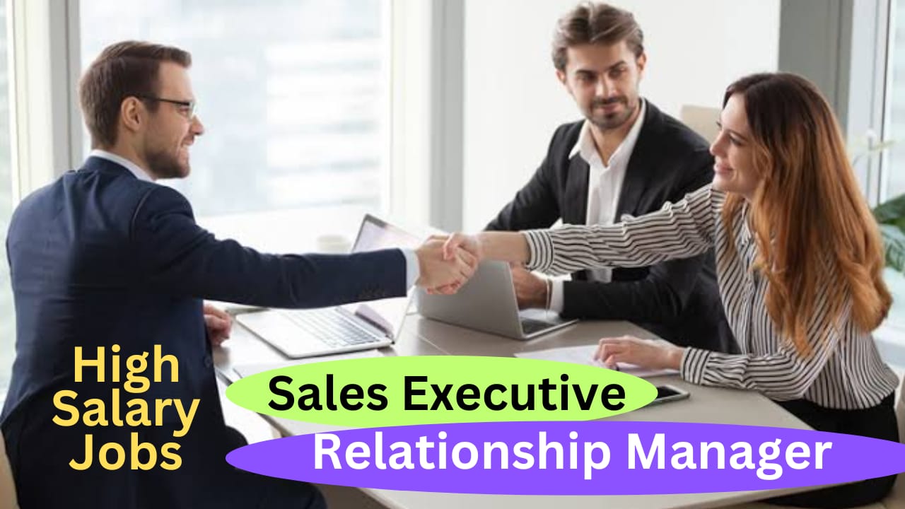 Sales Executive, Relationship Manager Jobs For SBI
